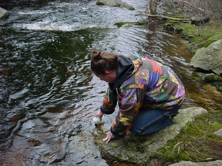 A volunteer samples for pH at Scott Brook in Royalston by Ivan Ussach