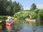 July 8 paddle – Otter&nbsp;R