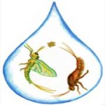 Katherine and Sarah&nbsp;Web2image