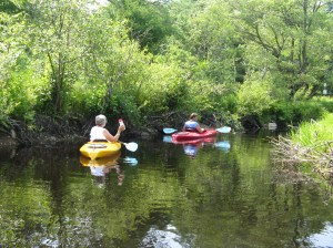 Paddling on Lawrence Brook, Royalston Paddling on Lawrence Brook, Royalston