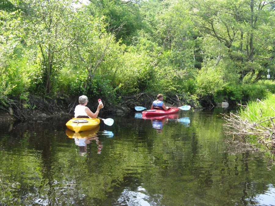 Paddling on Lawrence Brook, Royalston by Ivan Ussach