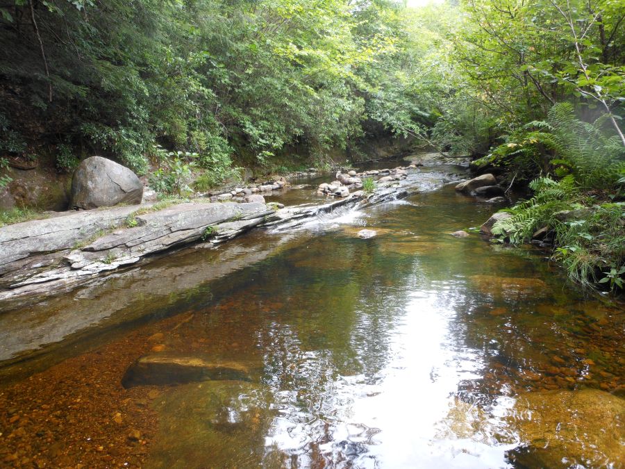 Mormon Hollow Brook, Wendell State Forest by Ivan Ussach