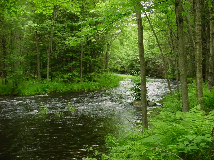 Tully mainstem above Millers confluence at Cass Meadow by Ivan Ussach